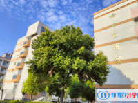 安徽渦陽第一中學(xué)2025年招生辦聯(lián)系電話