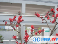 2025南充市中考化學(xué)滿分是多少？