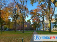 2025晉城市中考語(yǔ)文滿分是多少？