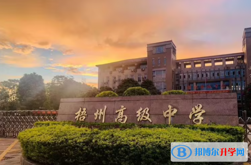 梧州高中所有學(xué)校高考成績排名