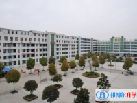 利辛啟明高級中學、啟明東方中學錄取分數線（2023年參考）