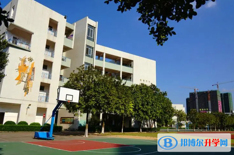 中山市東區中學、小欖中學取分數線(2023年參考)