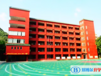 清遠市清新區鳳霞中學錄取分數線（2023年參考）