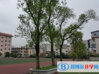 2025楚雄中考數學滿分是多少？