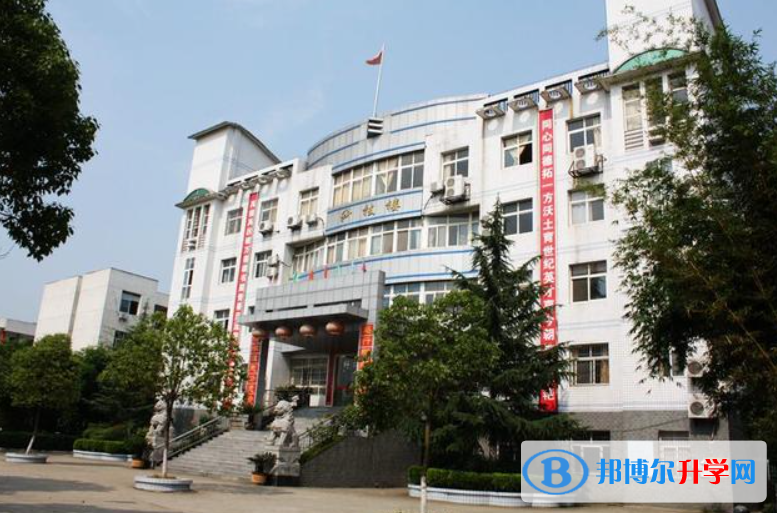 武漢市新洲區四中、城關中學錄取分數線(2023年參考)