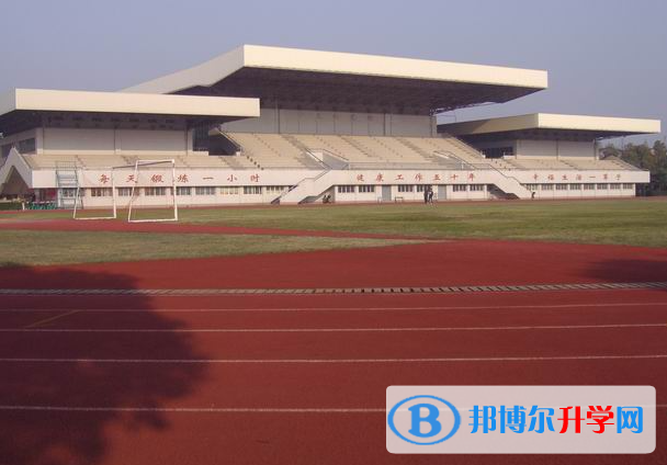 2022嘉興桐鄉中考各高中錄取分數線(2023參考)