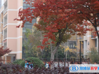 安徽臨泉第一中學2025年招生計劃