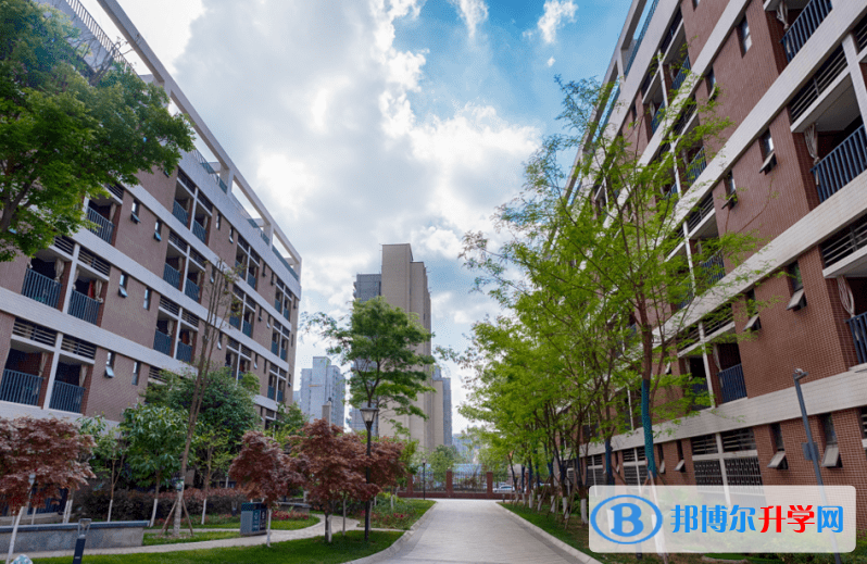 2022商城縣豐集高中錄取分數線(2023參考)