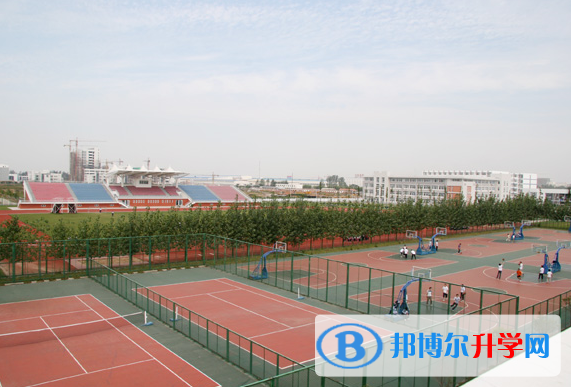 2022濮陽市綜合高中錄取分數線(2023參考)
