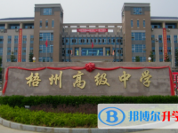 2022梧州高中錄取分數線（2023參考）