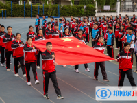 溫州市第四中學(xué)2025年招生計劃