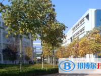 2022伊川縣伊河高中錄取分數線（2023參考）