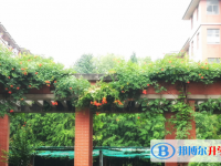 浙江省嘉興市第一中學(xué)2023年招生錄取分?jǐn)?shù)線