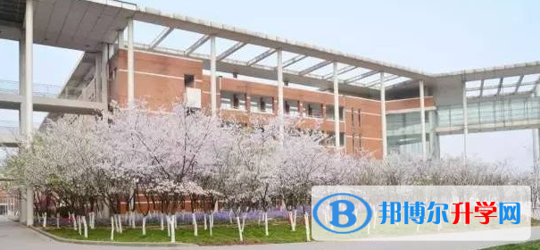 南京外國語學校仙林分校2023年課程體系
