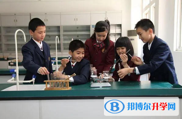 南京外國語學校大行宮校區2023年入學條件