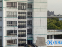 桐鄉市茅盾中學怎么樣、好不好