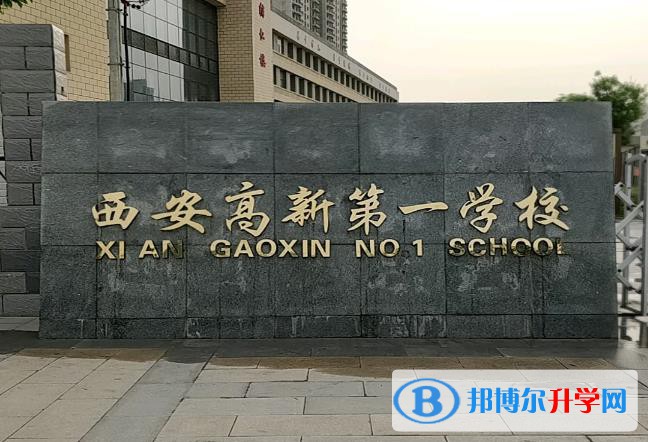 西安高新一高、西咸新區(qū)空港實驗高級中學錄取分數(shù)線(2023年參考)