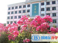靈壽中學錄取分數線(2023年參考)