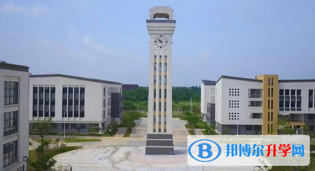 桐城八中錄取分數線(2023年參考)