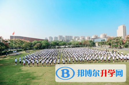 2023年寧波至誠學校招生政策