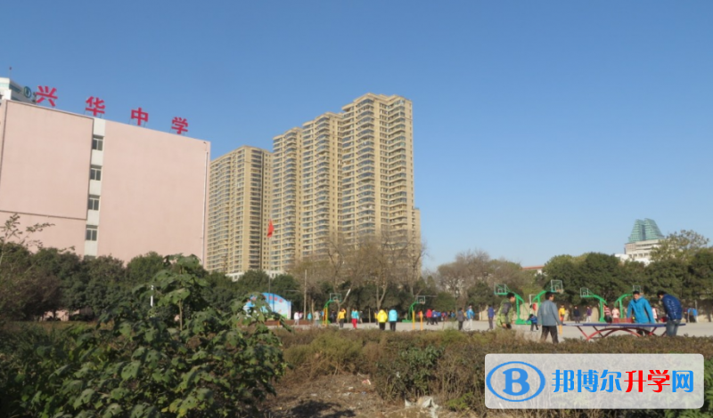壽縣興華中學(xué)錄取分?jǐn)?shù)線(2023年參考)