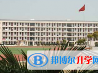 合肥中匯實驗學校、卓越中學錄取分數線(2023年參考)