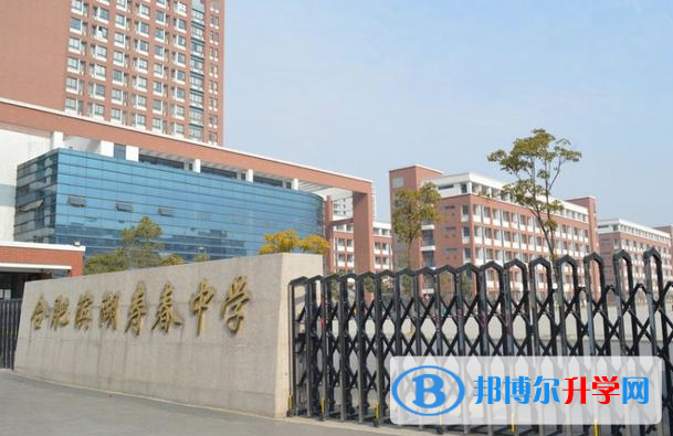 合肥濱湖壽春中學錄取分數線(2023年參考)