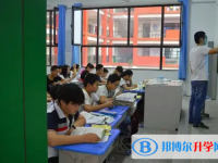 沈丘中招錄取分數線(2023年參考)