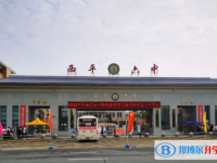 西平中考2022錄取分數線（2023參考）
