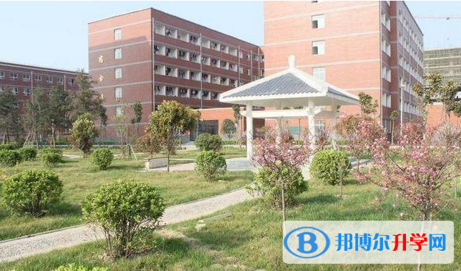周口市文泰高級中學2022錄取分數線（2023參考）