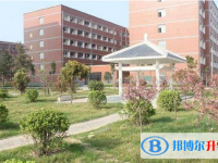 周口市文泰高級中學2022錄取分數線（2023參考）