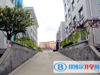 萬榮盛康中學錄取分數線(2023年參考)