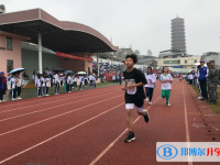 2025澄邁縣第二中學招生計劃 招生人數是多少(附要求、條件、對象)