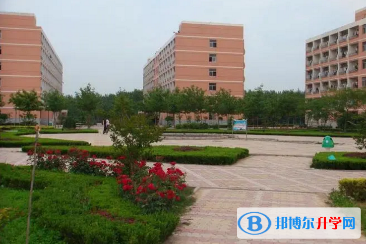 莘縣一中錄取分數(shù)線(2023年參考)