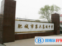 肥城六中錄取分數線(2023年參考)