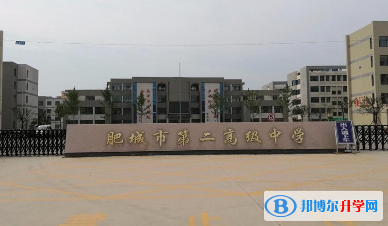 肥城二中錄取分數線(2023年參考)