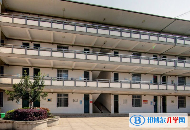 松陽中考錄取分數線(2023年參考)