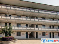 松陽中考錄取分數(shù)線(2023年參考)