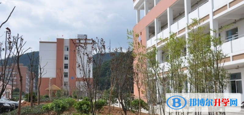 臺州市雙語高級中學、九峰高級中學錄取分數線(2023年參考)