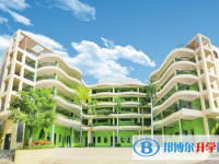 2025三亞華僑學校招生計劃 招生人數是多少(附要求、條件、對象)