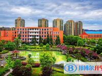 臨安區(qū)天目高中錄取分?jǐn)?shù)線(xiàn)(2023年參考)