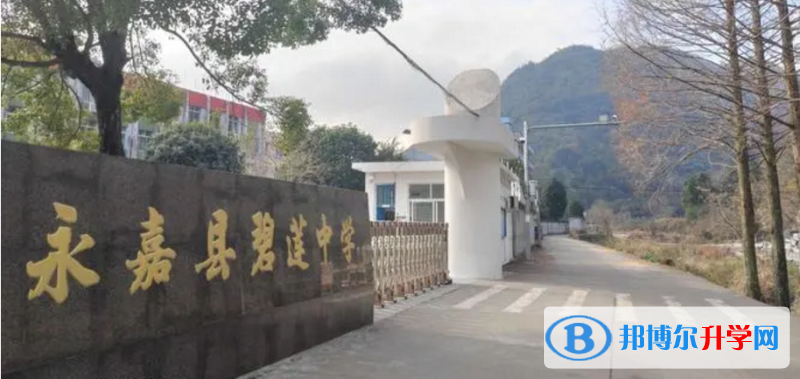 永嘉縣碧蓮中學(xué)錄取分?jǐn)?shù)線(2023年參考)