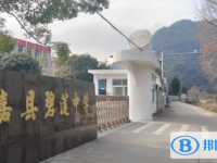 永嘉縣碧蓮中學(xué)錄取分?jǐn)?shù)線(2023年參考)