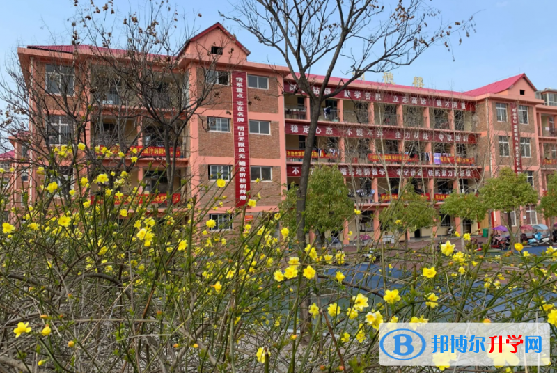 桐柏三高錄取分數線(2023年參考)