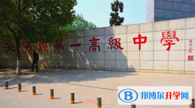泌陽一高錄取分數(shù)線(2023年參考)