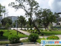 興寧一中歷年招生分?jǐn)?shù)線一覽表(2025參考)
