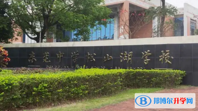 2023東莞中學(xué)松山湖學(xué)校多少錢(學(xué)費(fèi)明細(xì))