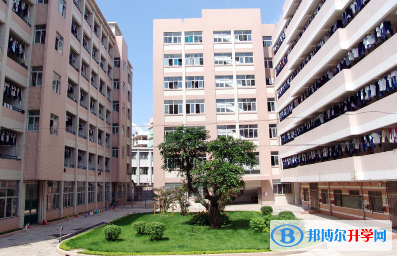 2023高明區(qū)第一中學(xué)招生計(jì)劃 招生人數(shù)是多少(附要求、條件、對象)