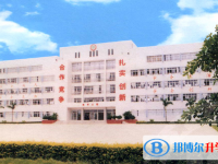 2025汕尾市林偉華中學招生計劃 招生人數是多少(附要求、條件、對象)