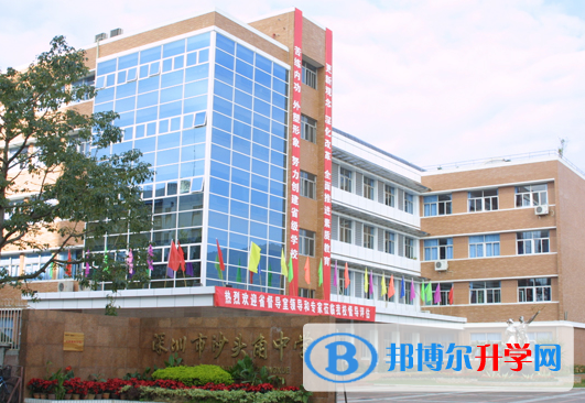 2023深圳市沙頭角中學招生計劃 招生人數(shù)是多少(附要求、條件、對象)